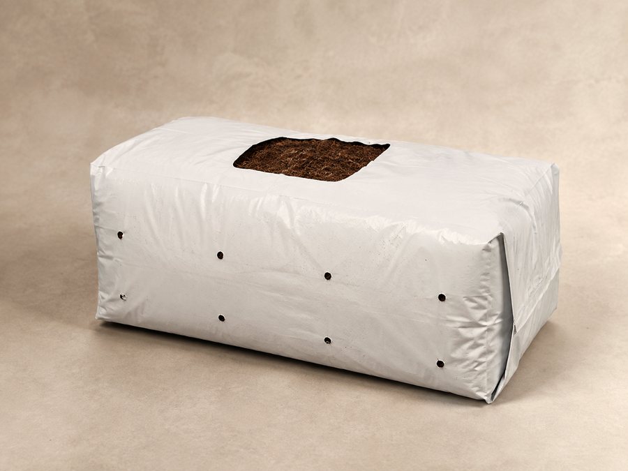 A wrapped coir pith grow slab with a cut planting window.